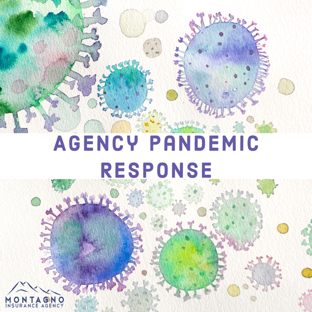 Agency Pandemic Response